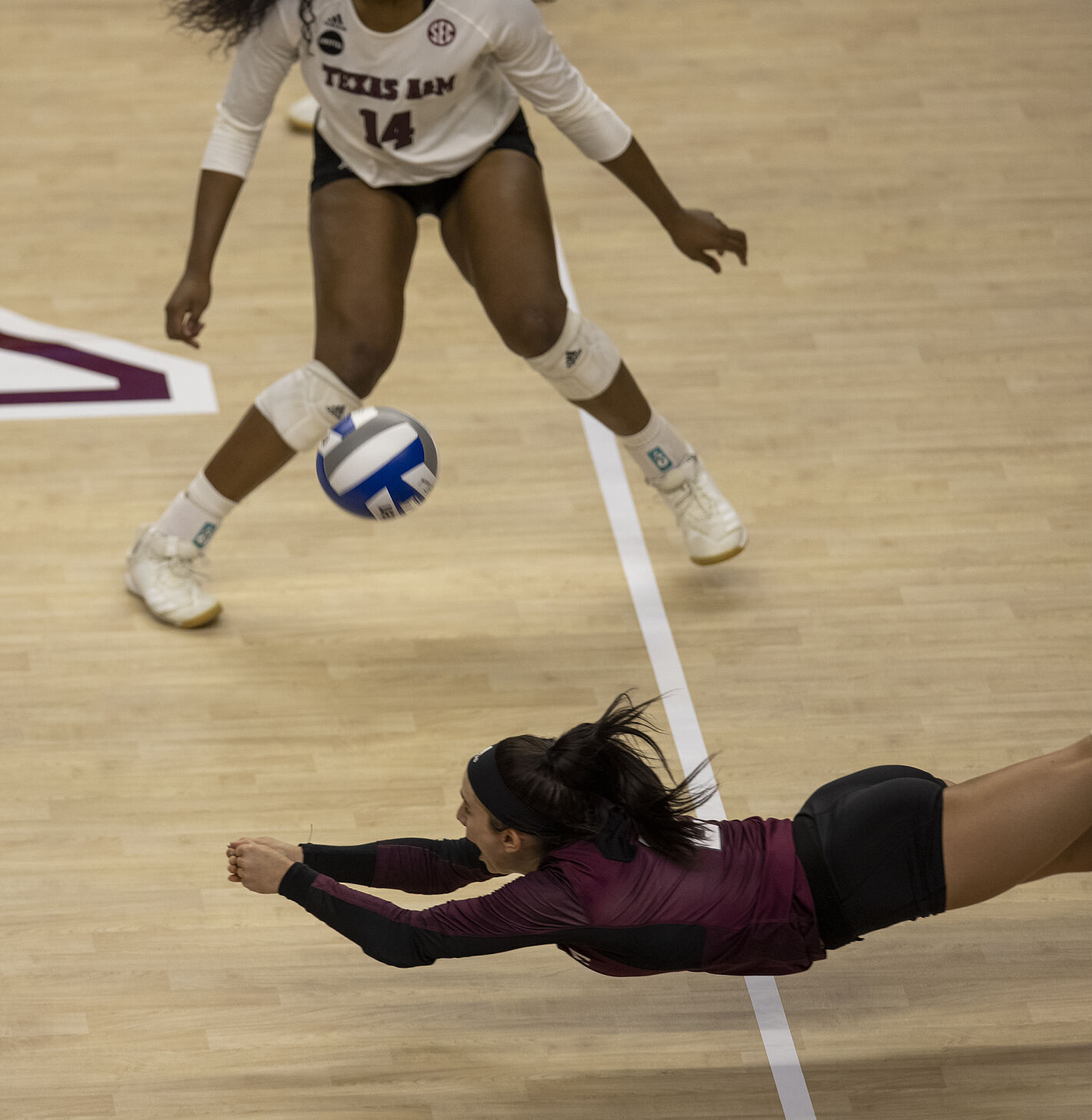 Texas A&M vs Florida